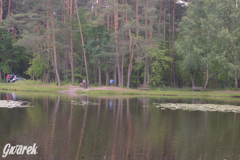 Tarnowskie Góry. Zalew w Pniowcu