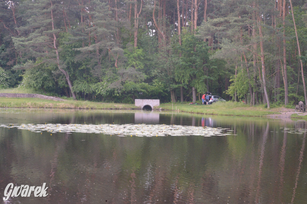 Tarnowskie Góry. Zalew w Pniowcu