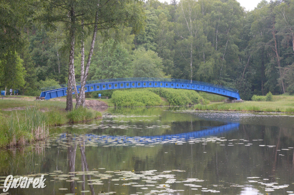 Tarnowskie Góry. Zalew w Pniowcu