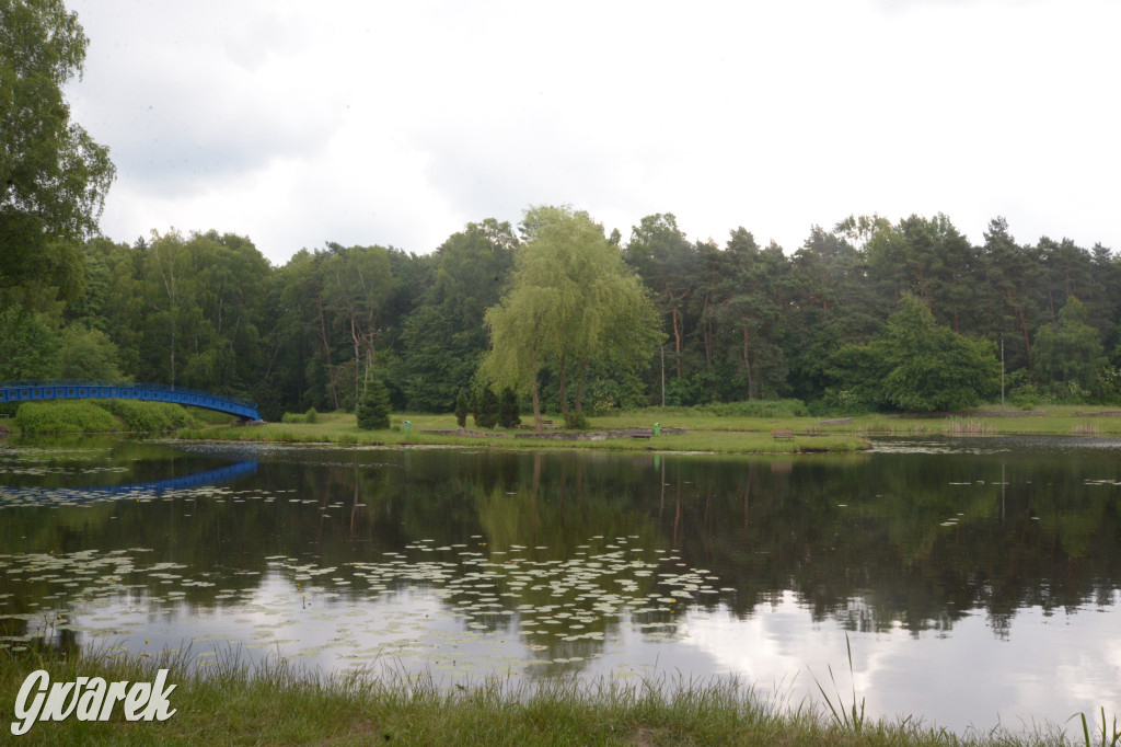 Tarnowskie Góry. Zalew w Pniowcu