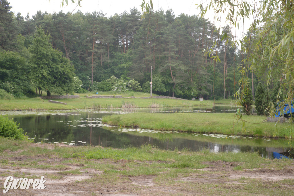 Tarnowskie Góry. Zalew w Pniowcu