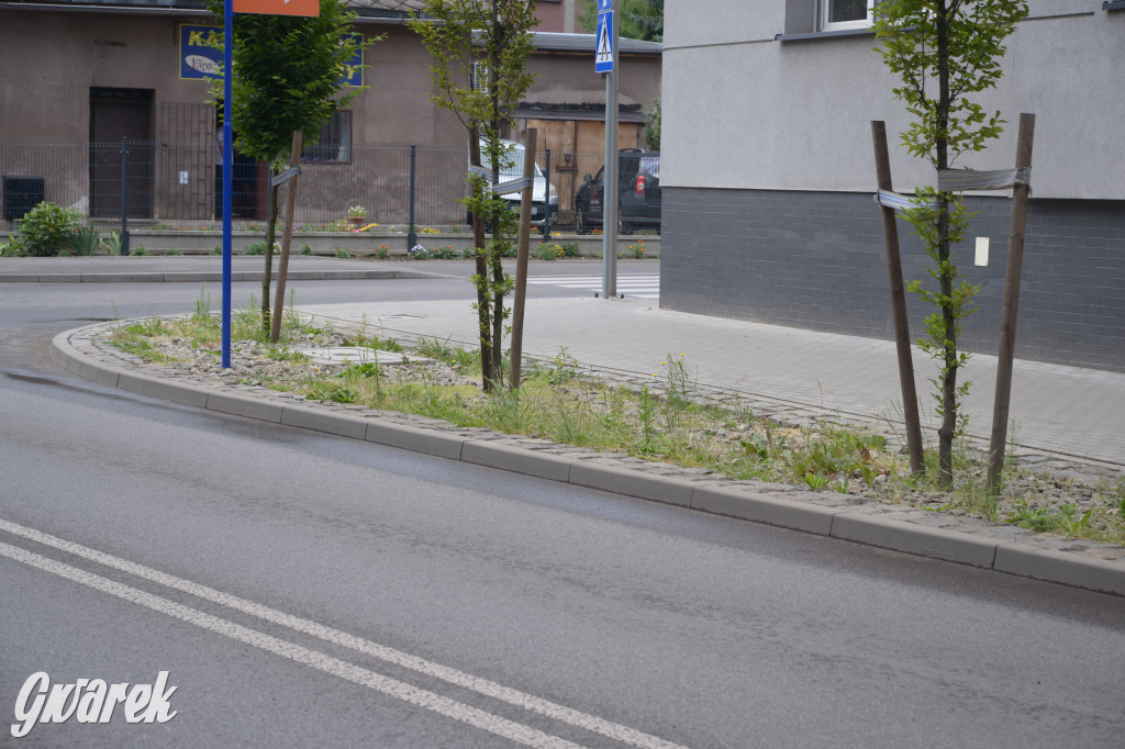 Tarnowskie Góry. Zachwaszczone i zaśmiecone zieleńce