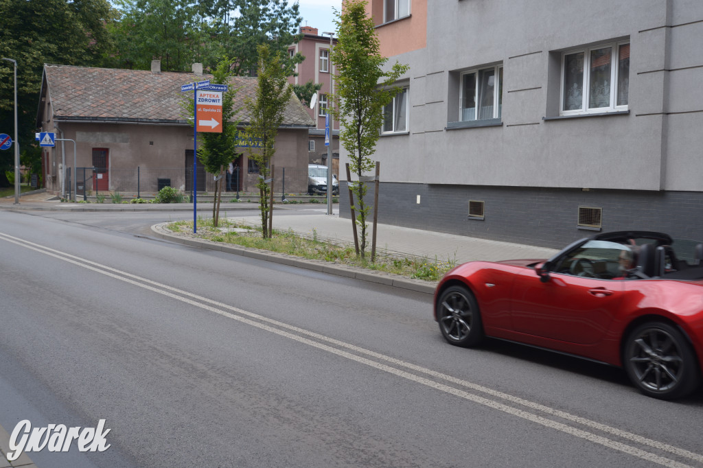 Tarnowskie Góry. Zachwaszczone i zaśmiecone zieleńce