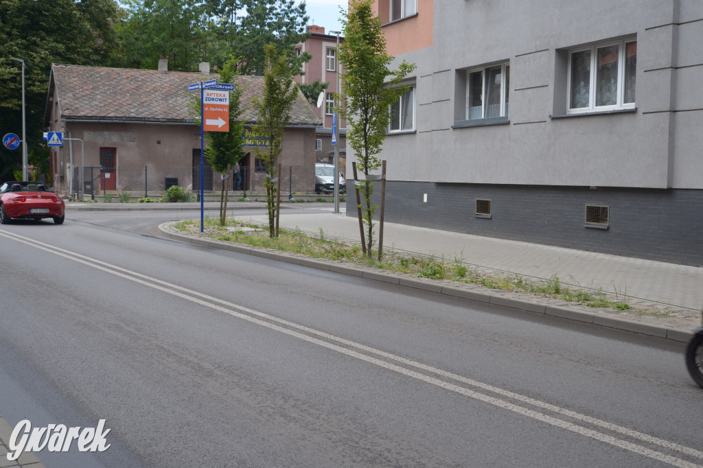 Tarnowskie Góry. Zachwaszczone i zaśmiecone zieleńce