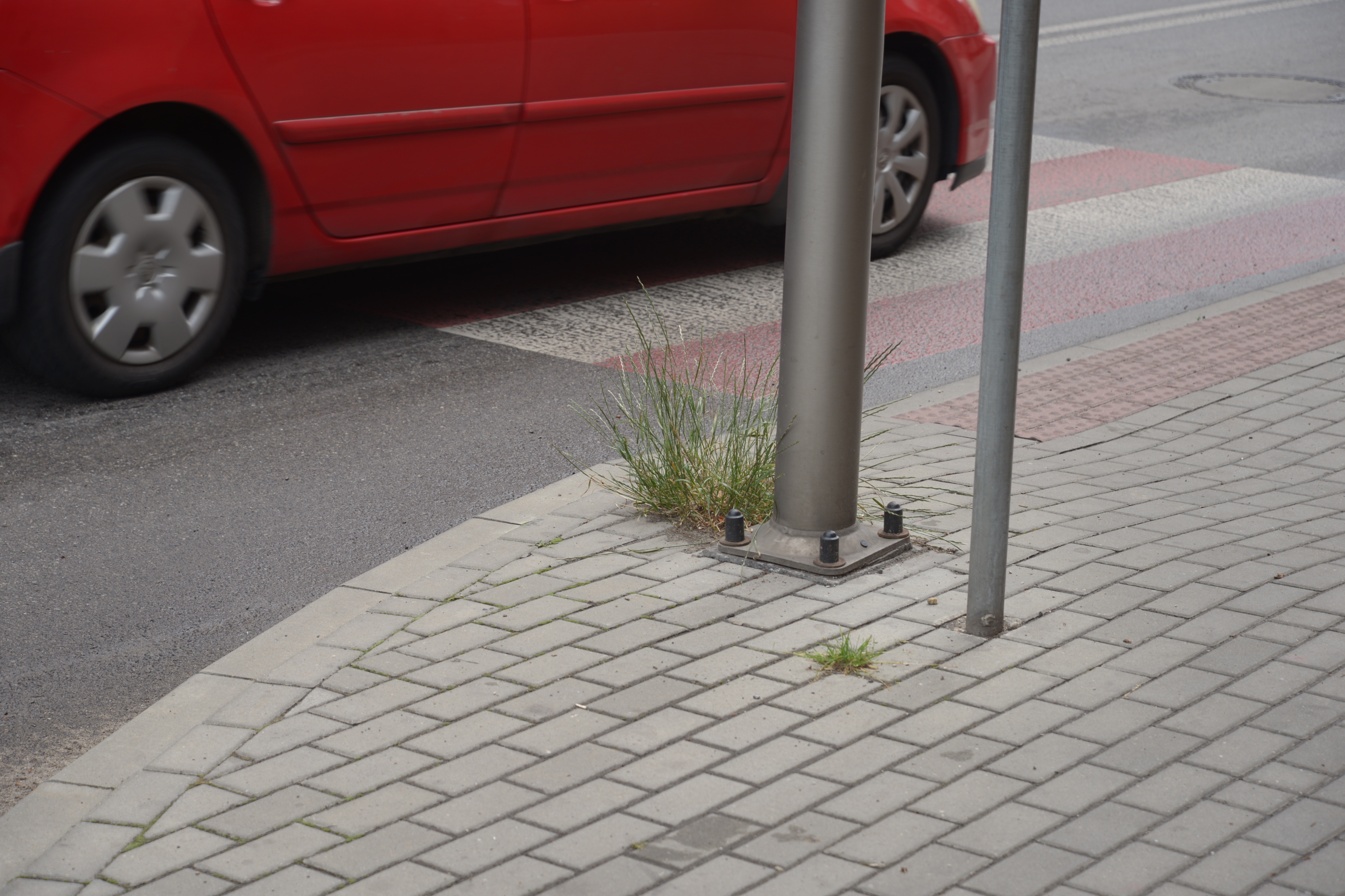 Tarnowskie Góry. Zachwaszczone i zaśmiecone zieleńce