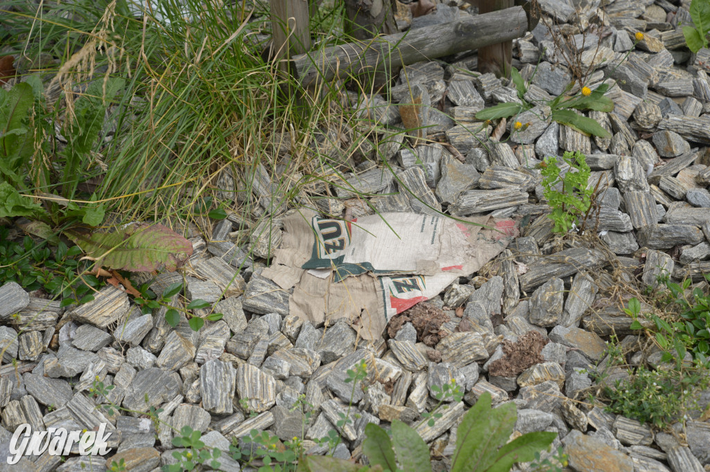 Tarnowskie Góry. Zachwaszczone i zaśmiecone zieleńce