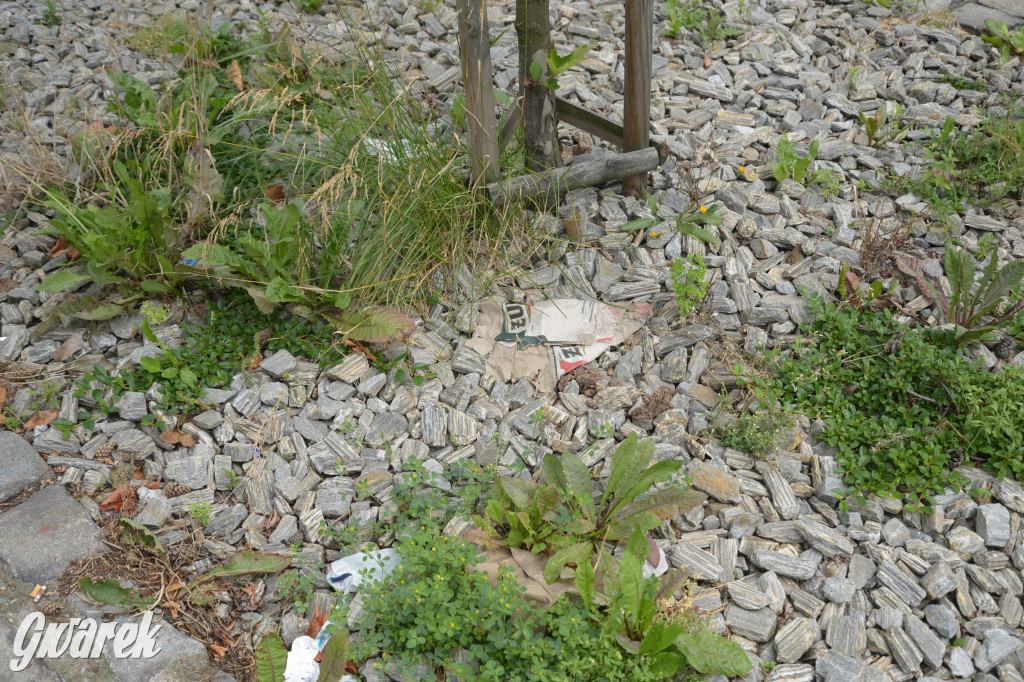 Tarnowskie Góry. Zachwaszczone i zaśmiecone zieleńce