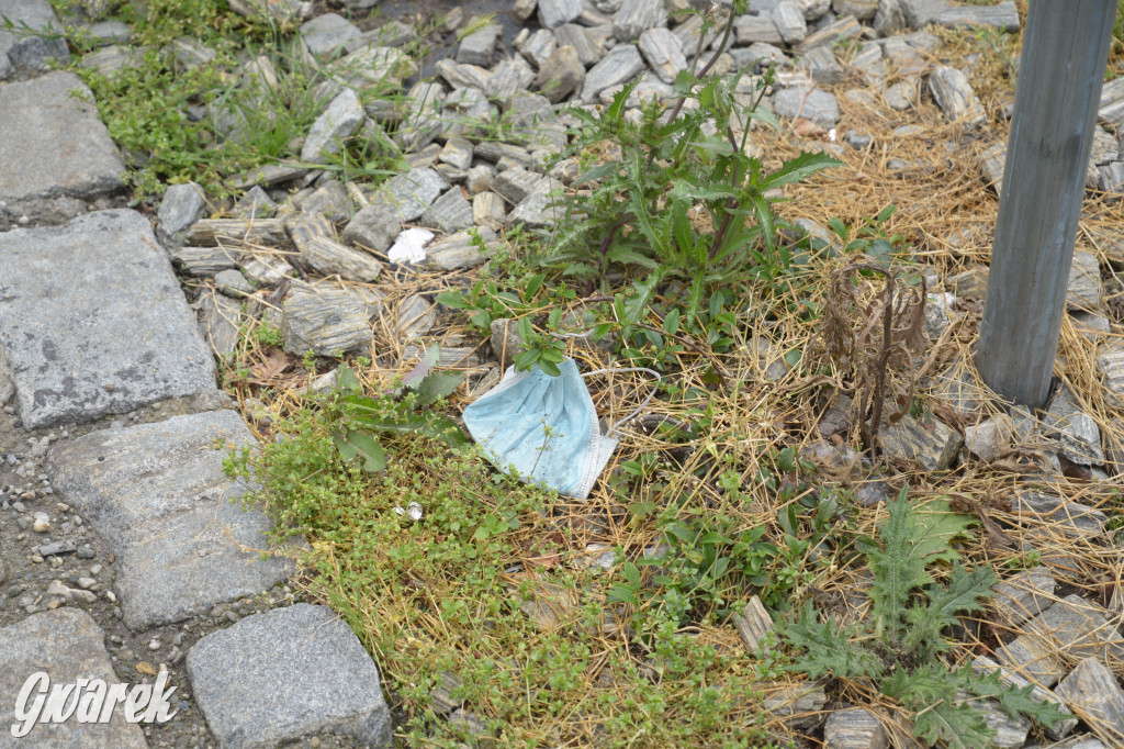 Tarnowskie Góry. Zachwaszczone i zaśmiecone zieleńce