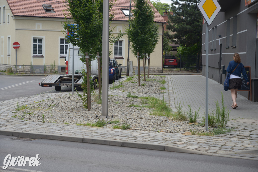 Tarnowskie Góry. Zachwaszczone i zaśmiecone zieleńce