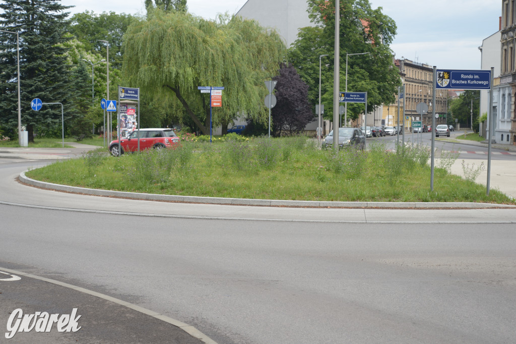 Tarnowskie Góry. Zachwaszczone i zaśmiecone zieleńce