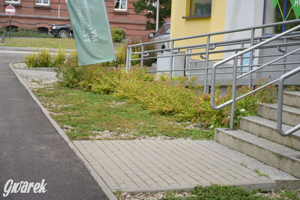 Tarnowskie Góry. Zachwaszczone i zaśmiecone zieleńce