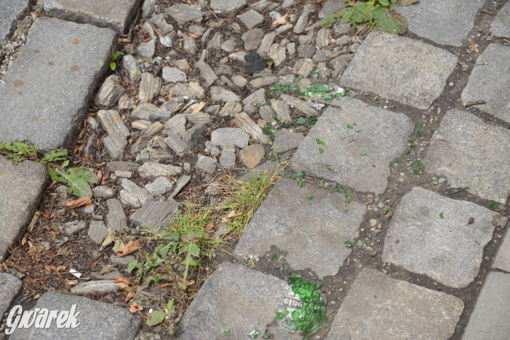 Tarnowskie Góry. Zachwaszczone i zaśmiecone zieleńce