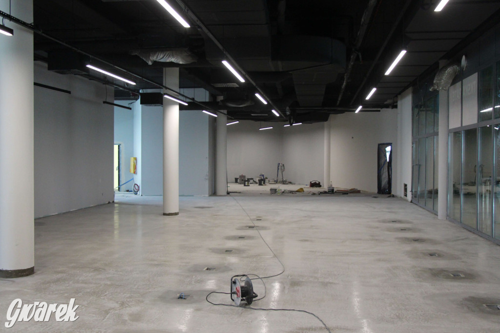 Tarnowskie Góry. Przebudowa parku wodnego