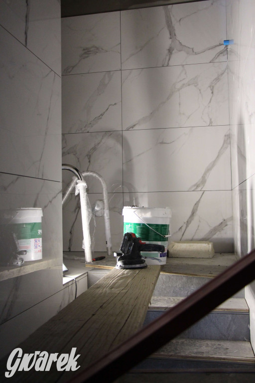 Tarnowskie Góry. Przebudowa parku wodnego