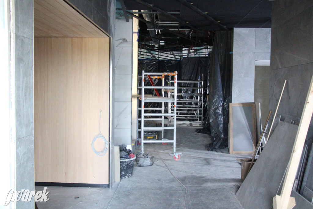 Tarnowskie Góry. Przebudowa parku wodnego