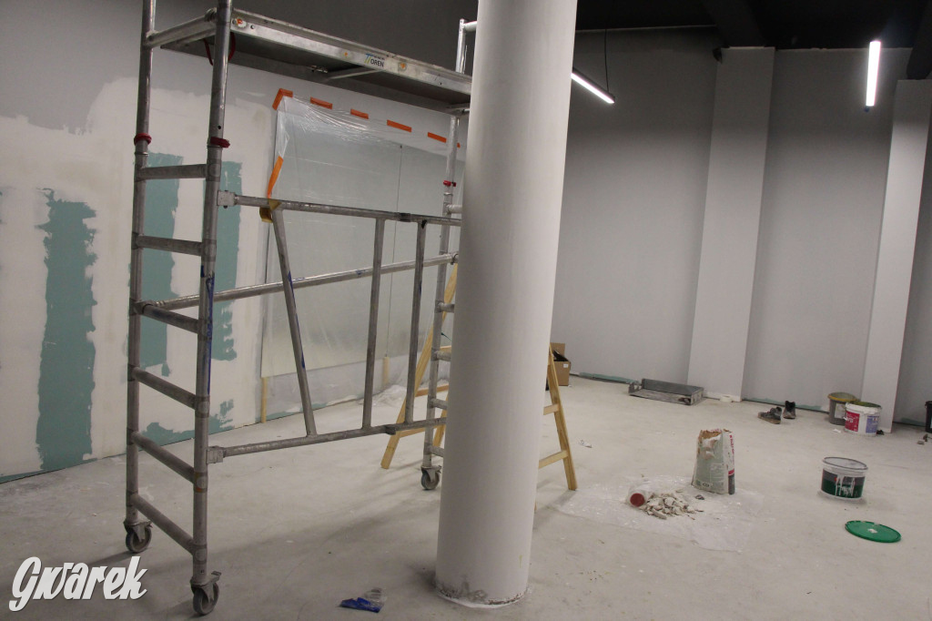 Tarnowskie Góry. Przebudowa parku wodnego