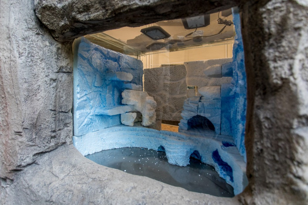 Nowa atrakcja. Las deszczowy w śląskim zoo