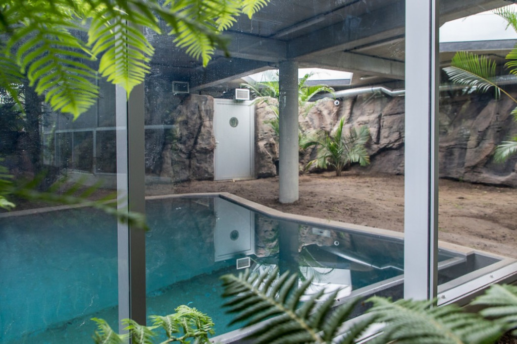 Nowa atrakcja. Las deszczowy w śląskim zoo