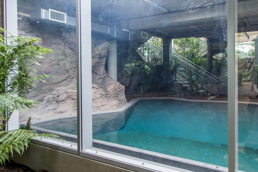 Nowa atrakcja. Las deszczowy w śląskim zoo