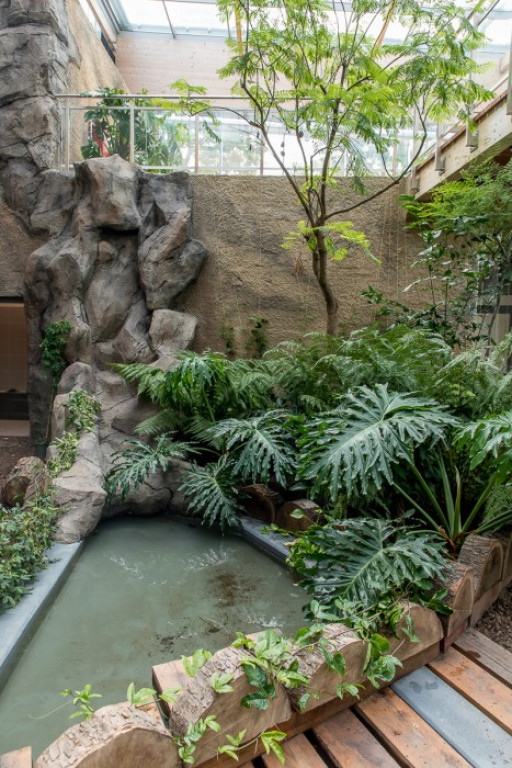 Nowa atrakcja. Las deszczowy w śląskim zoo