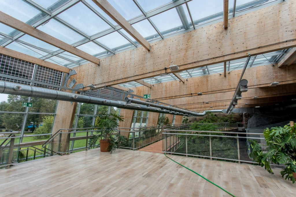 Nowa atrakcja. Las deszczowy w śląskim zoo