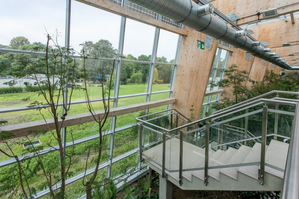 Nowa atrakcja. Las deszczowy w śląskim zoo