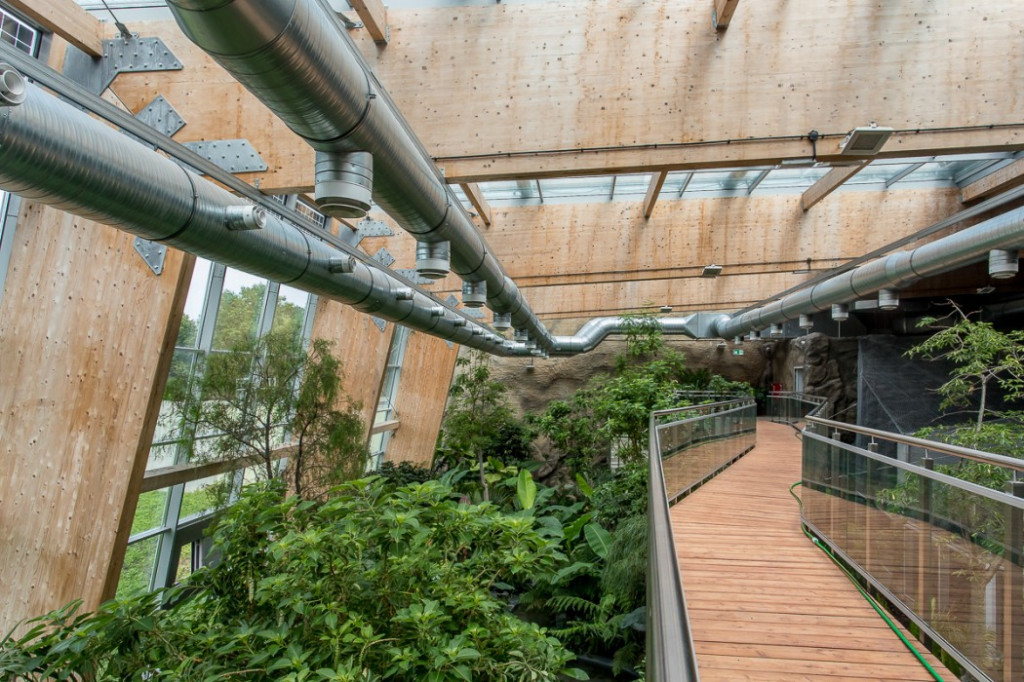 Nowa atrakcja. Las deszczowy w śląskim zoo