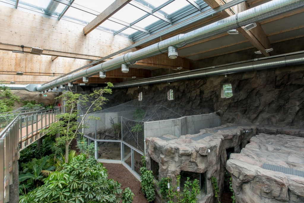 Nowa atrakcja. Las deszczowy w śląskim zoo