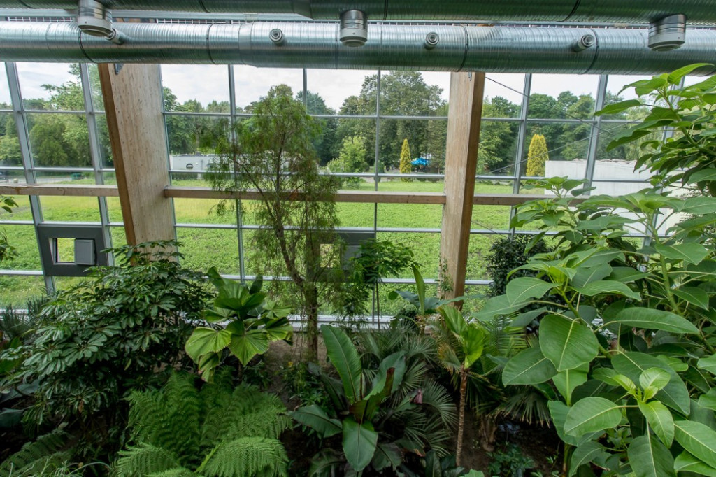 Nowa atrakcja. Las deszczowy w śląskim zoo