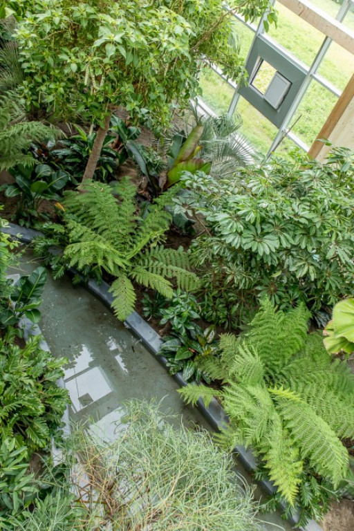 Nowa atrakcja. Las deszczowy w śląskim zoo