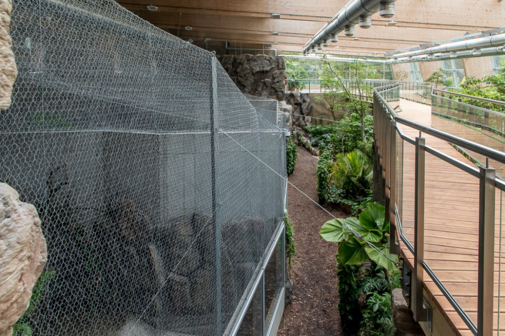 Nowa atrakcja. Las deszczowy w śląskim zoo