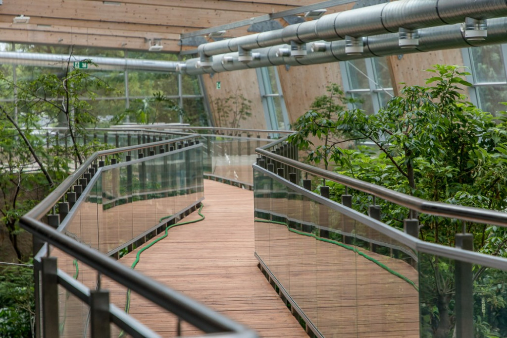 Nowa atrakcja. Las deszczowy w śląskim zoo