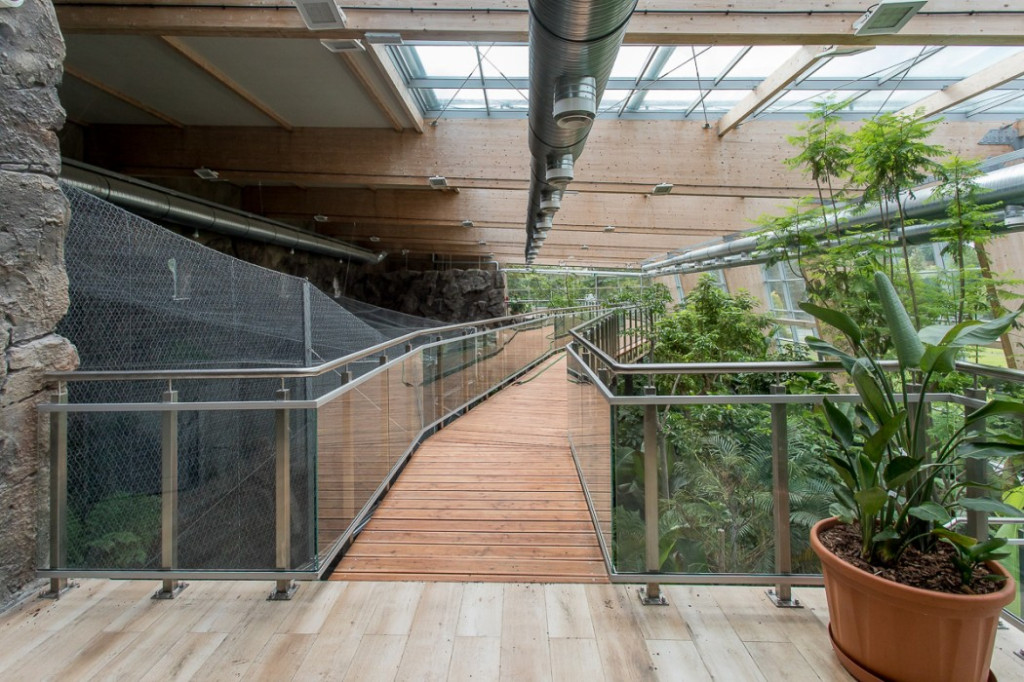 Nowa atrakcja. Las deszczowy w śląskim zoo