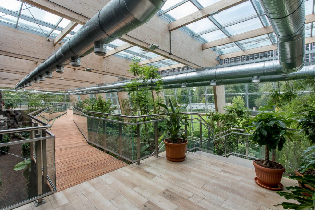 Nowa atrakcja. Las deszczowy w śląskim zoo