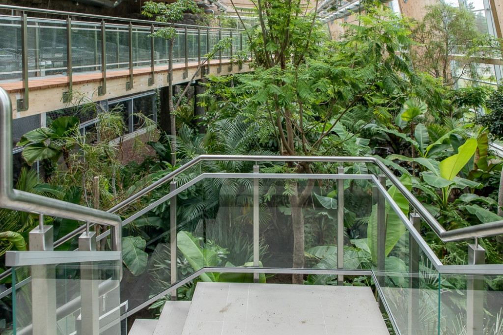 Nowa atrakcja. Las deszczowy w śląskim zoo