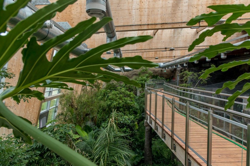 Nowa atrakcja. Las deszczowy w śląskim zoo