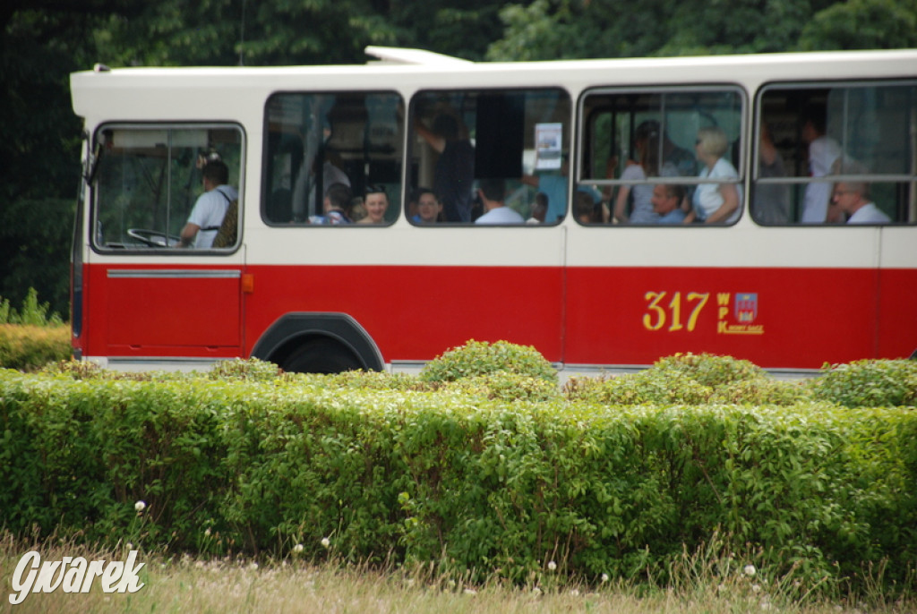 Ikarusy wyjechały na ulice Katowic