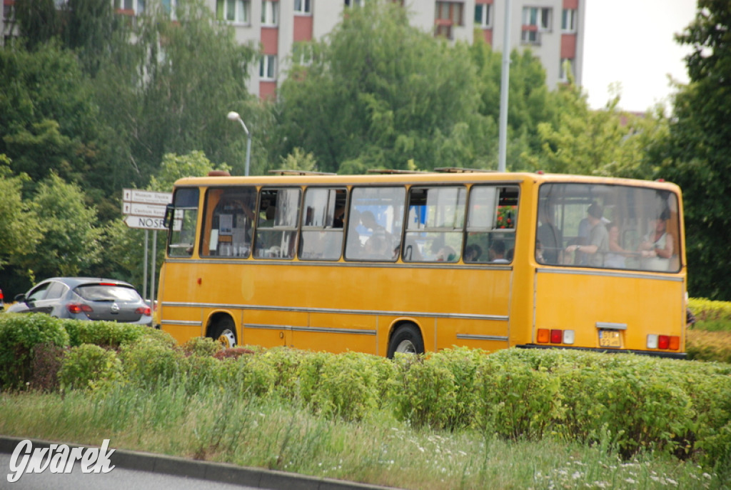 Ikarusy wyjechały na ulice Katowic