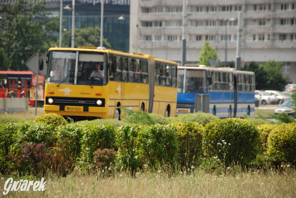 Ikarusy wyjechały na ulice Katowic