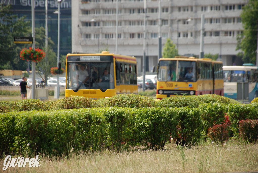 Ikarusy wyjechały na ulice Katowic