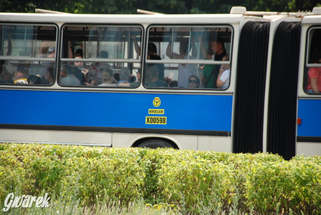 Ikarusy wyjechały na ulice Katowic