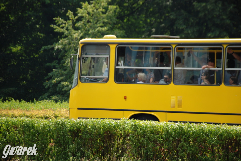 Ikarusy wyjechały na ulice Katowic