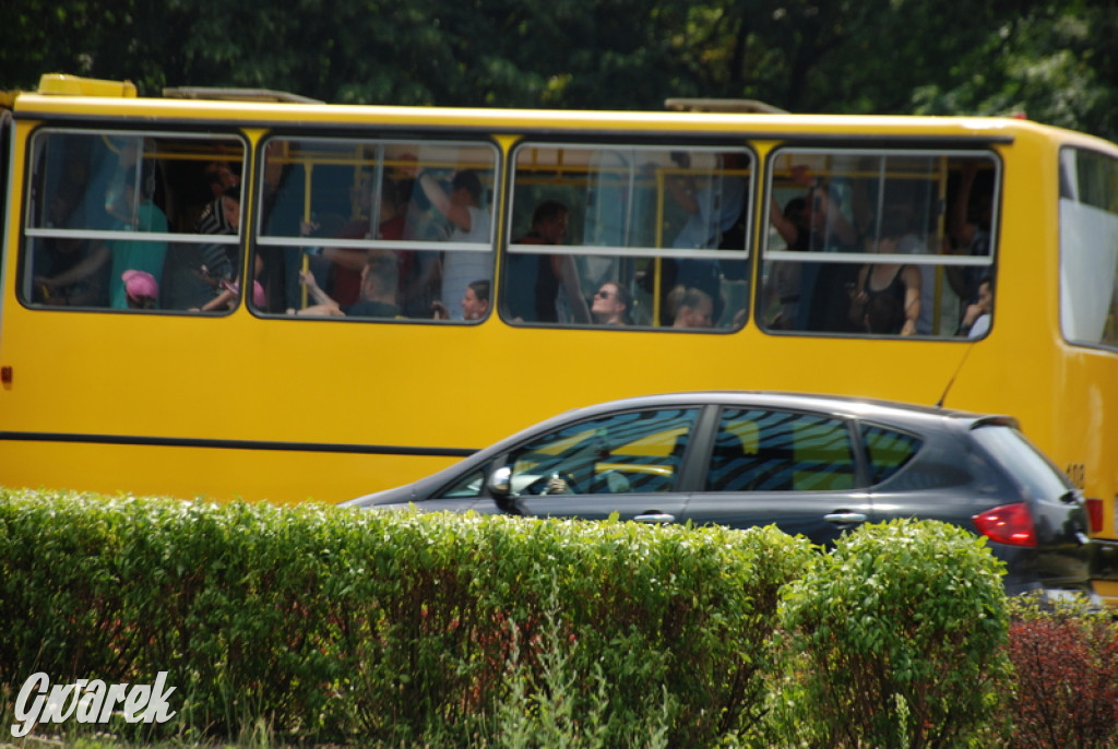 Ikarusy wyjechały na ulice Katowic