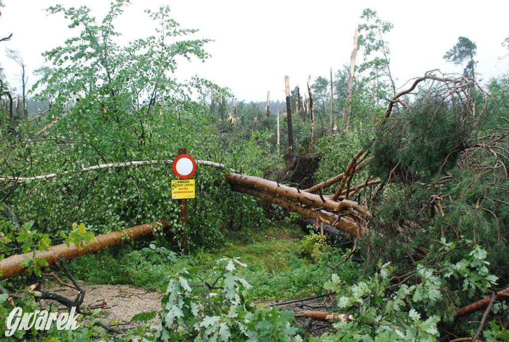 Trąba powietrzna w lublinieckim. Mija 15 lat