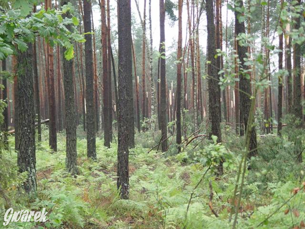 Trąba powietrzna w lublinieckim. Mija 15 lat