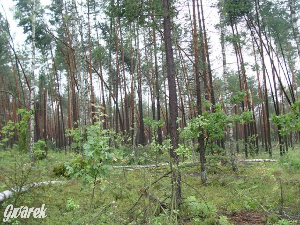 Trąba powietrzna w lublinieckim. Mija 15 lat