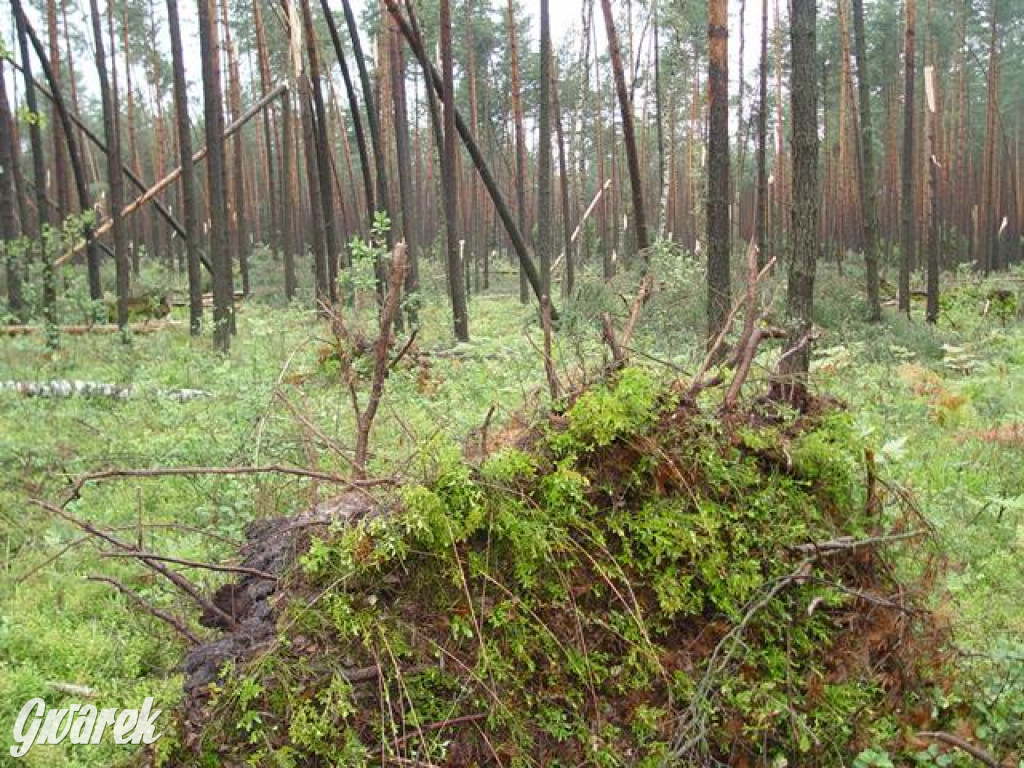 Trąba powietrzna w lublinieckim. Mija 15 lat