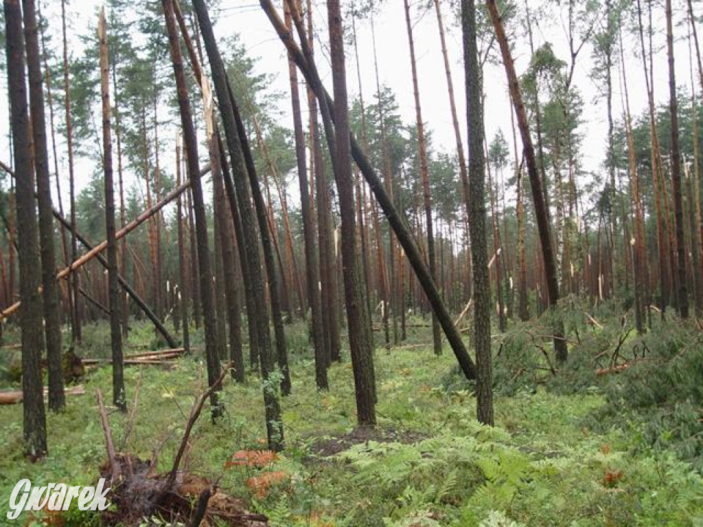 Trąba powietrzna w lublinieckim. Mija 15 lat