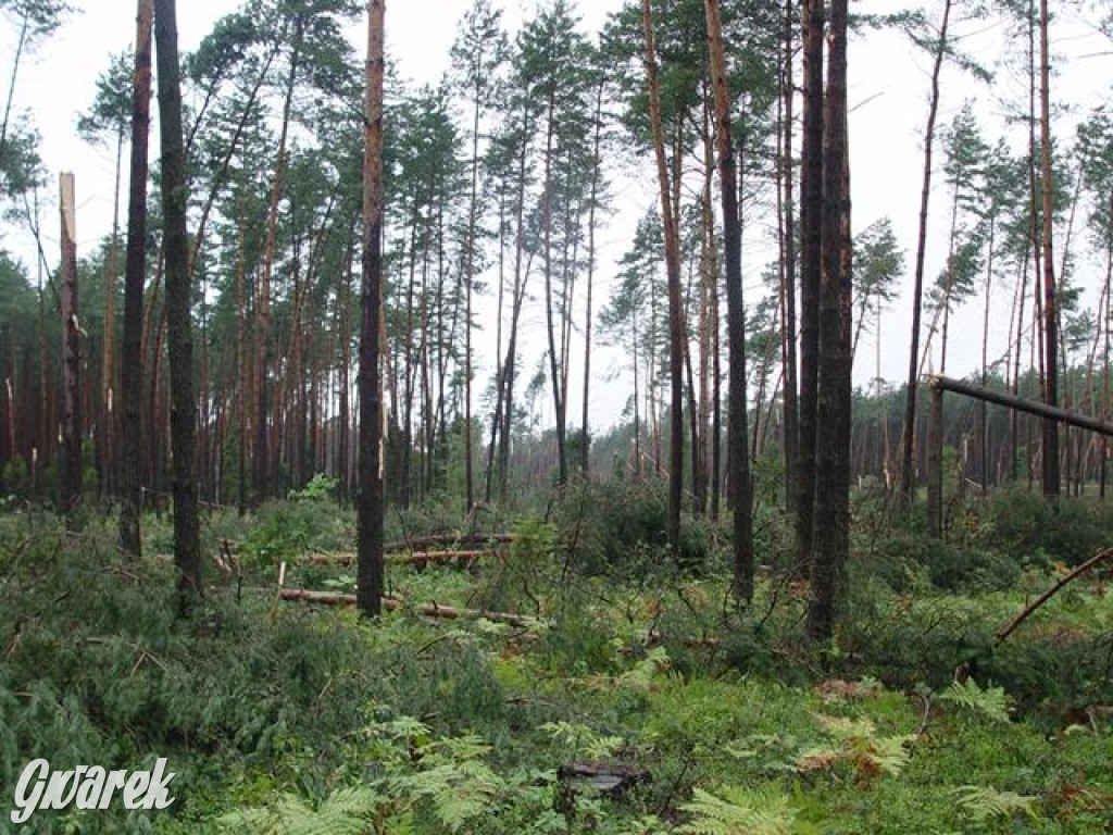 Trąba powietrzna w lublinieckim. Mija 15 lat