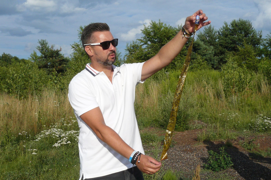 Nakło Śląskie. Mieszkańcy walczą z plagą much